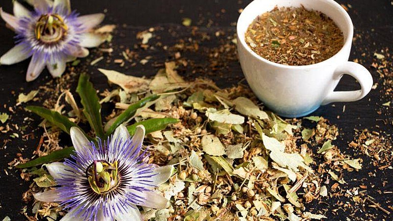 Cây lạc tiên mua ở đâu ?
