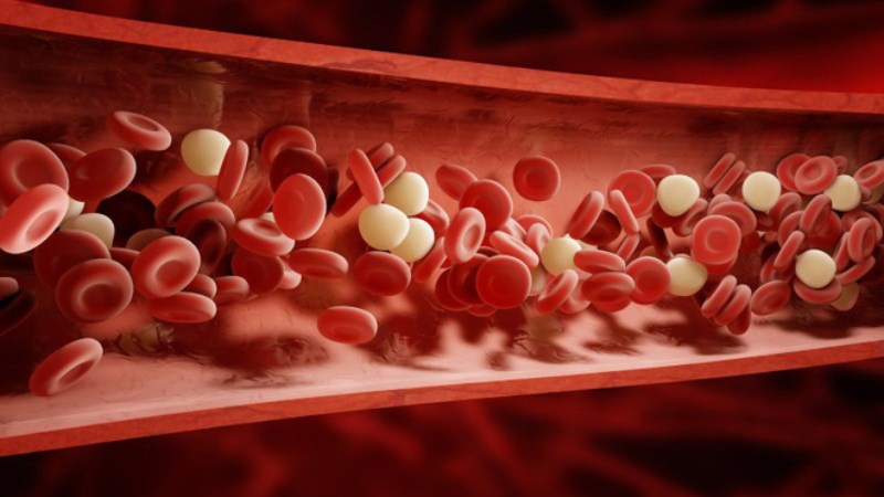 Có thể cải thiện lưu thông máu