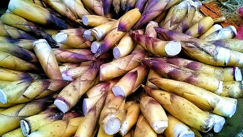 Măng vầu