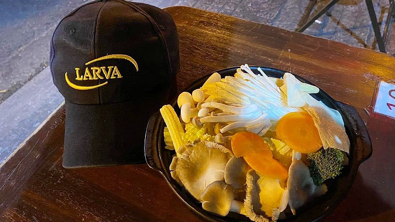 Mì cay larva