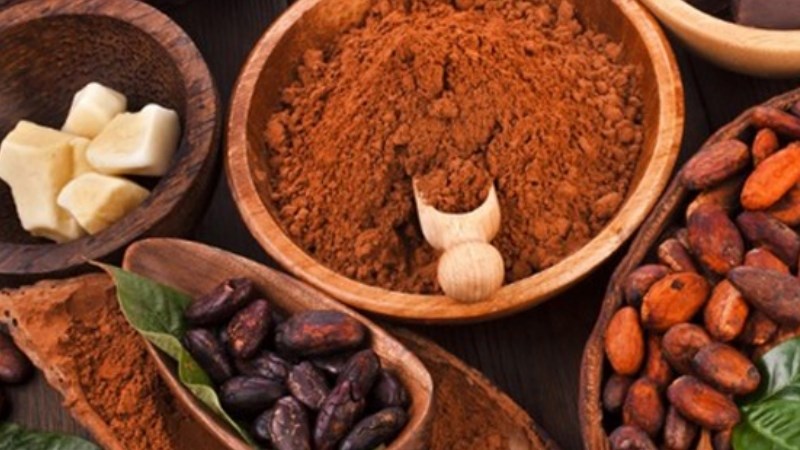Hạt ca cao bán ở đâu?