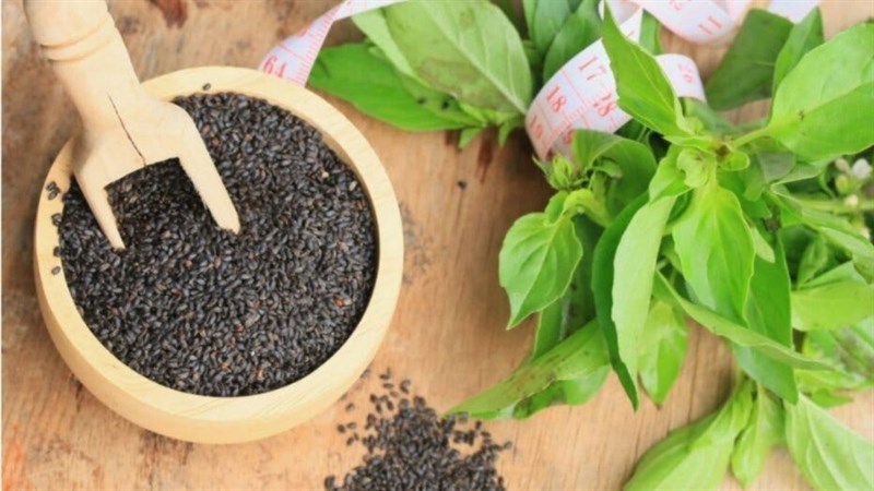 Mua hạt é ở đâu