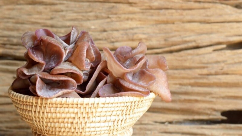 Nấm tai mèo (Mộc nhĩ) 