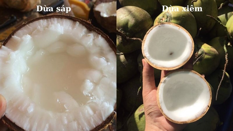 Cách nhận biết dừa sáp