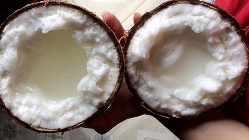 Dừa sáp loại 2