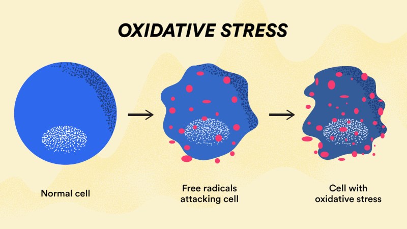 Chống lại stress oxy hóa