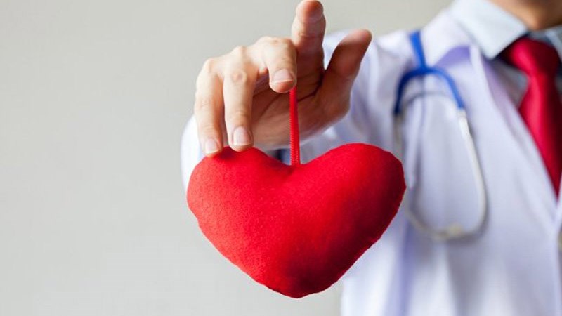 Súp lơ san hô có tác dụng cải thiện tuần hoàn và sức khỏe tim mạch