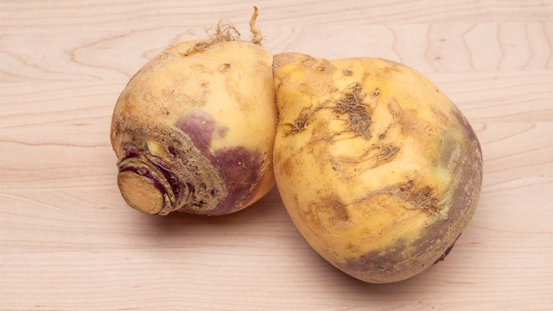 Củ cải Thụy Điển - Rutabaga là gì?