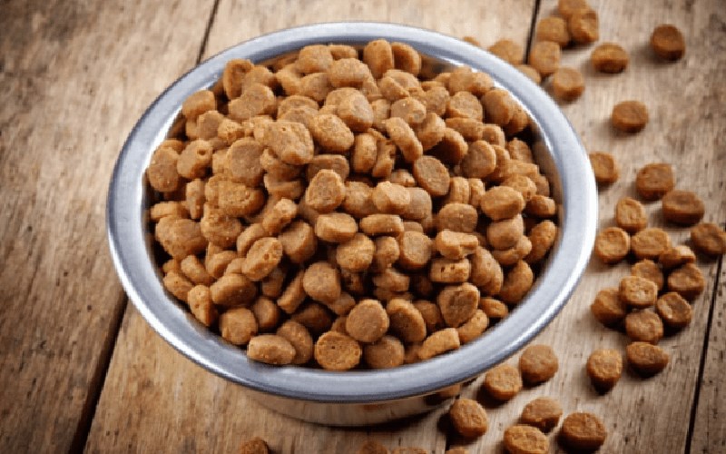 Th&ecirc;m một số vitamin cho bữa ăn của th&uacute; cưng