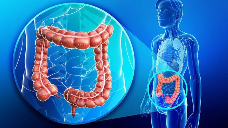Yến mạch có thể làm giảm nguy cơ ung thư đại trực tràng