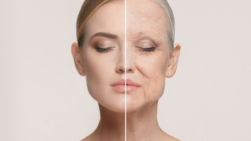 Yến mạch giàu chất chống oxy hóa