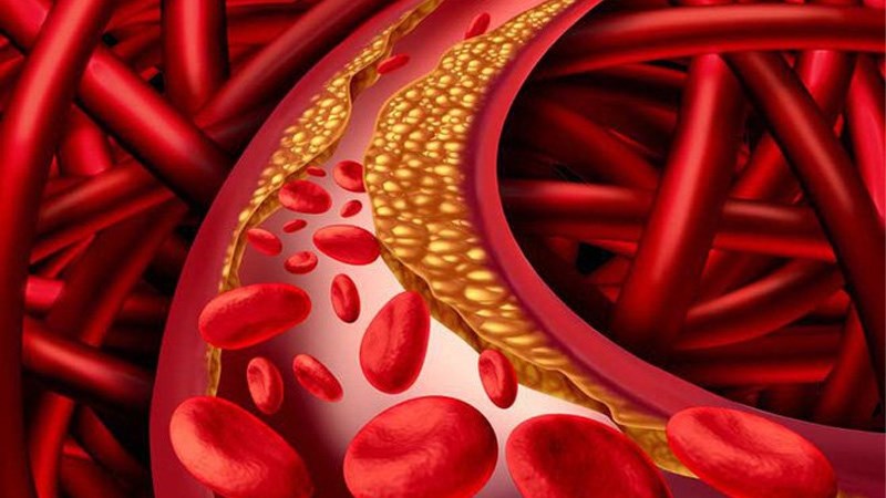 Yến mạch có thể làm giảm lượng cholesterol