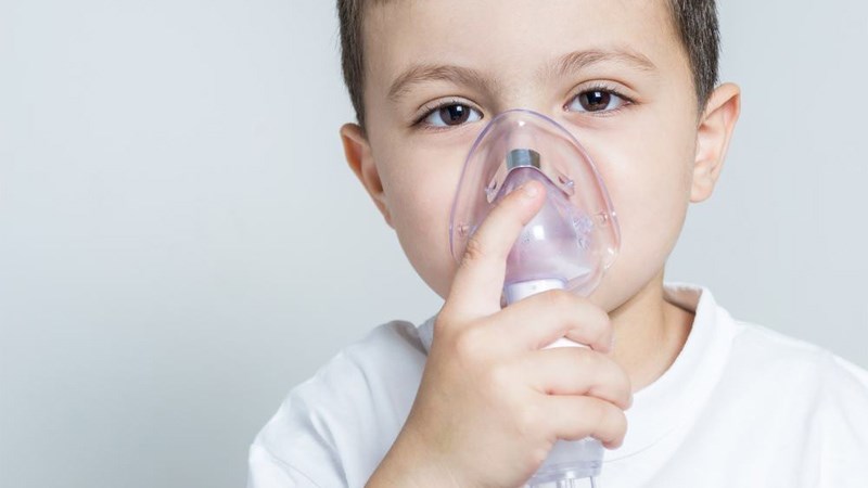 Yến mạch có thể giảm nguy cơ mắc bệnh hen suyễn ở trẻ em