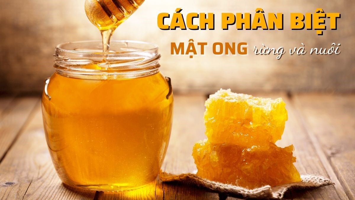 Giá mật ong giá bao nhiêu 1 lít và những ghi chú quan trọng