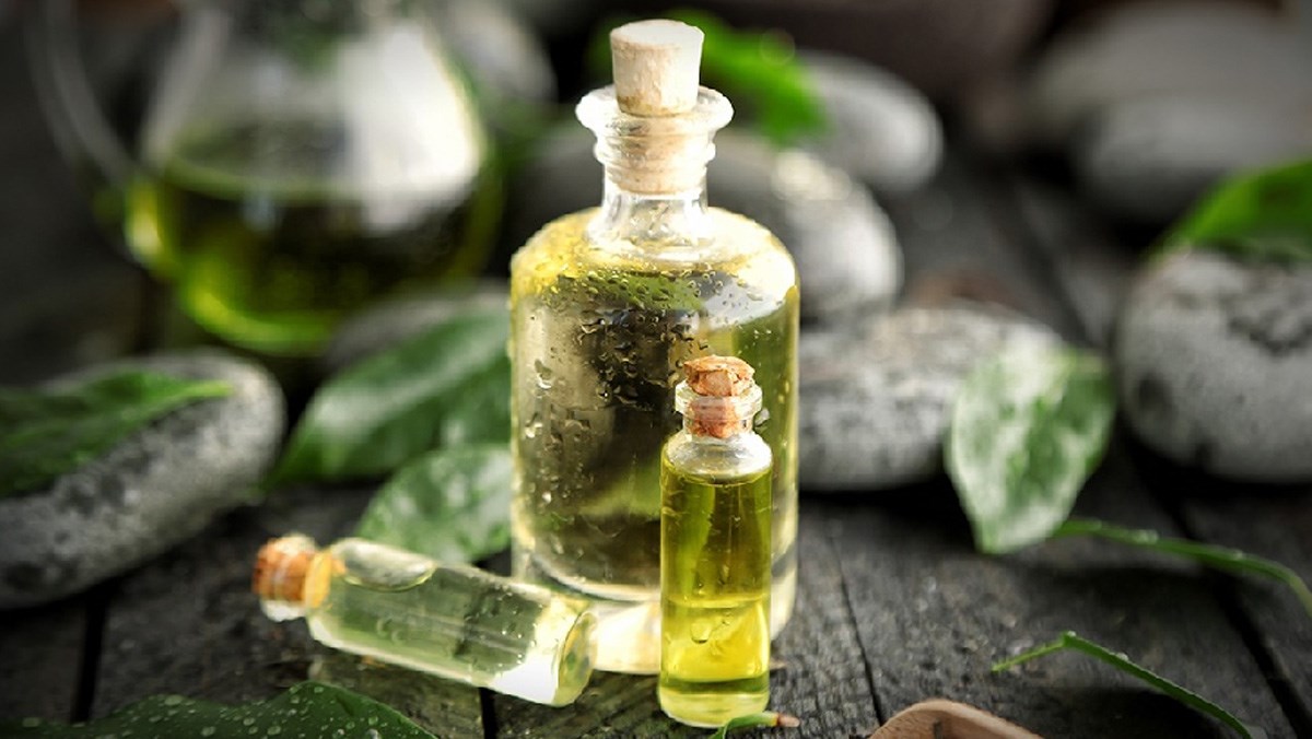 Tinh dầu trà xanh là gì? Tác dụng, cách dùng, nơi bán