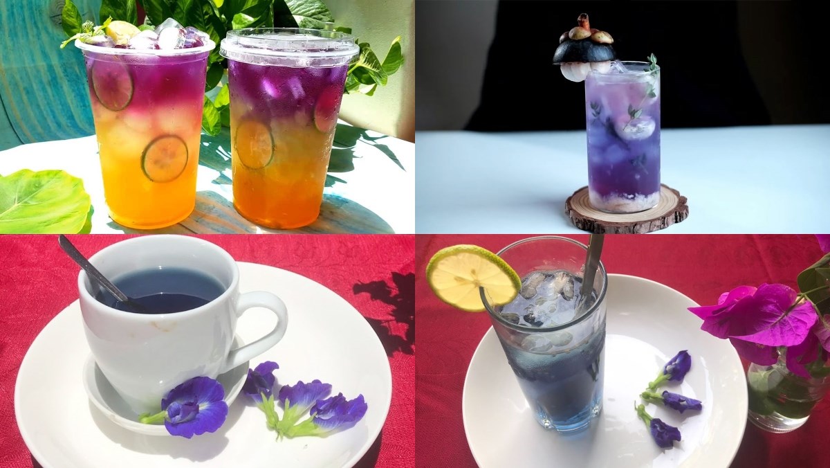 7 cách làm trà hoa đậu biếc