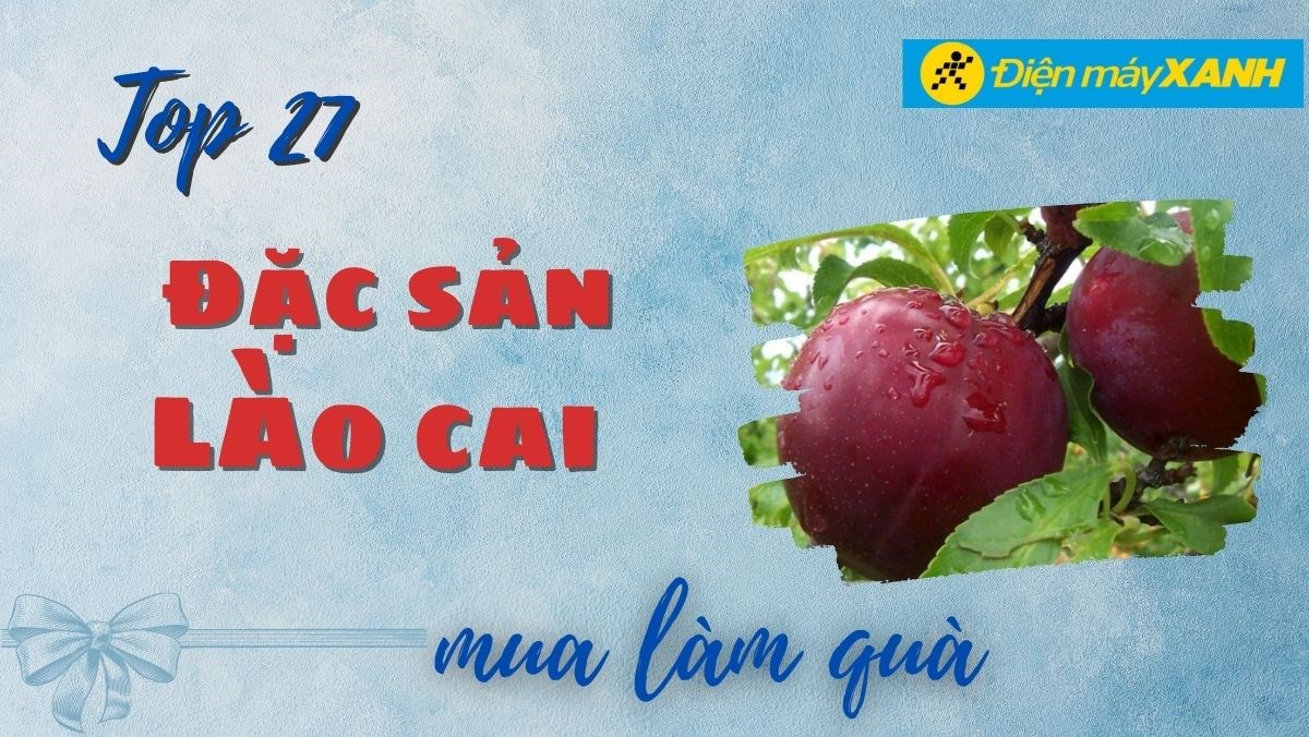 Đặc sản Lào Cai làm quà