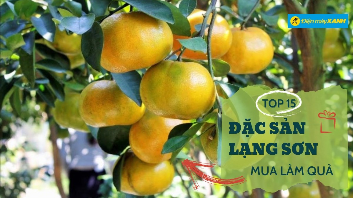 Top 15 đặc sản Lạng Sơn làm quà
