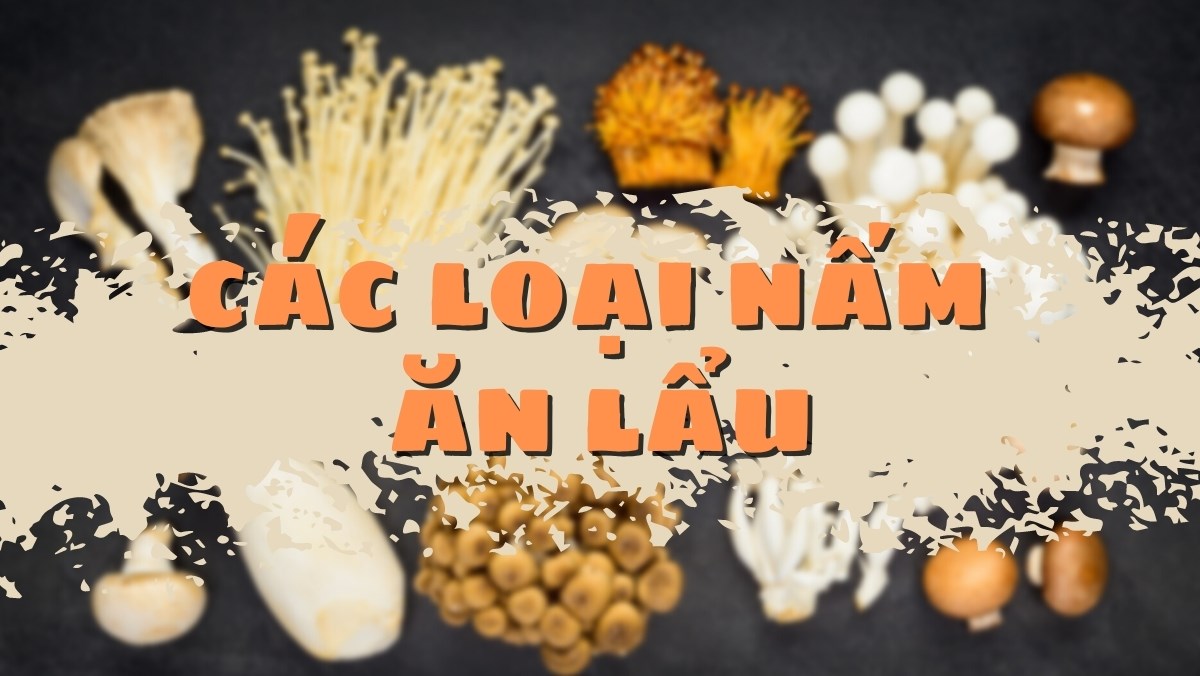 Tổng hợp tên các loại nấm ăn lẩu