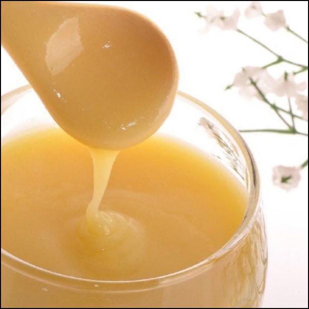 Cách bảo quản sữa ong chúa nguyên chất và dạng viên an toàn và hiệu quả