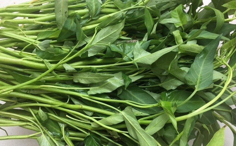 Rau muống