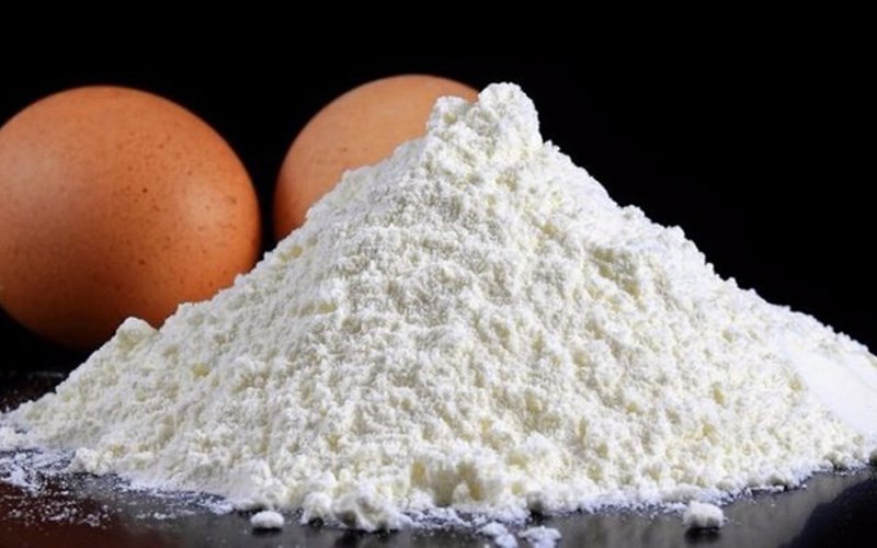 Bột protein