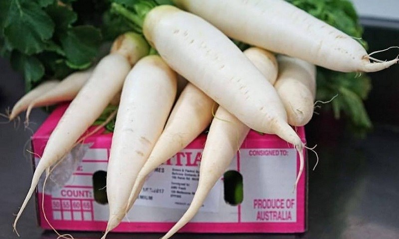 C&aacute;ch bảo quản củ cải quanh th&ugrave;ng nước