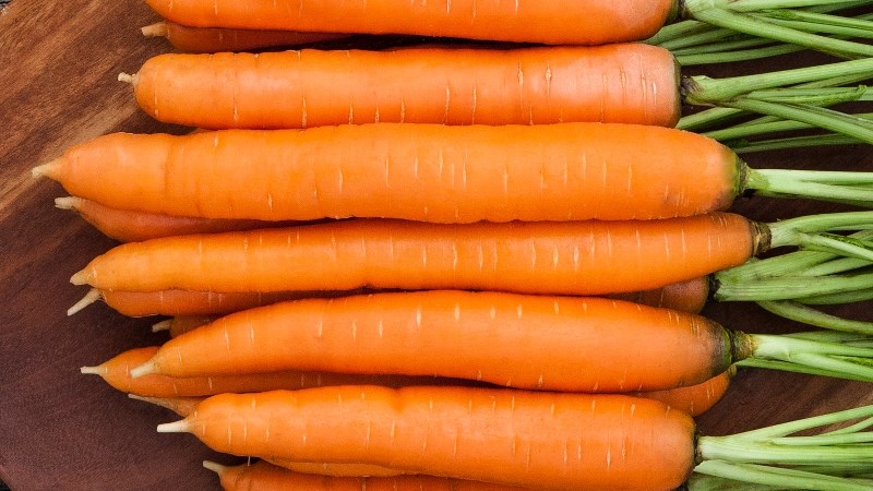 Cách tìm hiều để mua và cơ hội bảo vệ củ cà rốt tươi tỉnh lâu một cơ hội hiệu suất cao nhất