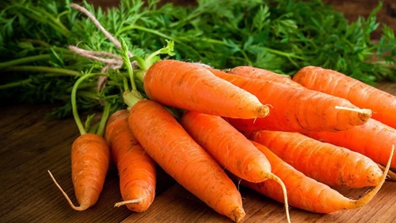 Những lưu ý khi bảo quản cà rốt