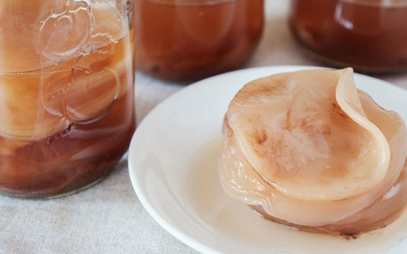 Kombucha