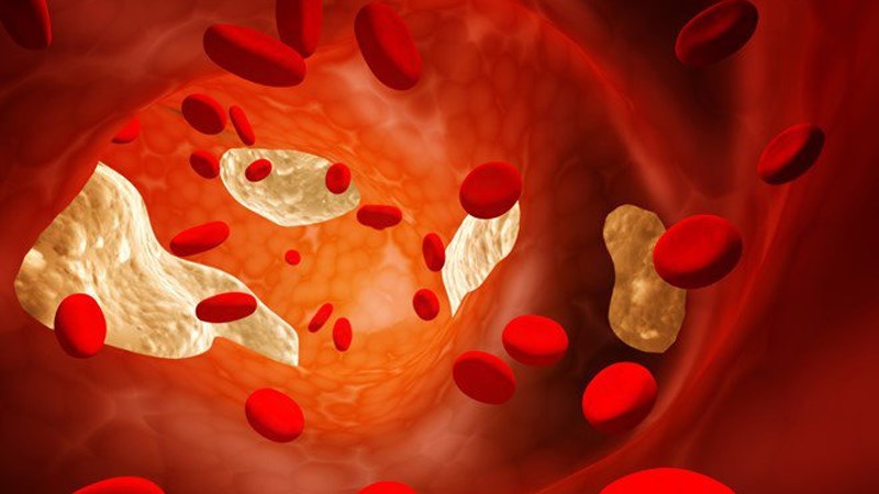 Hoa đu đủ đực có tác dụng giảm cholesterol