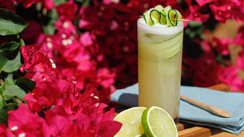 ly Collins cho cocktail