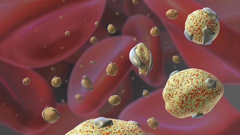 Có thể làm giảm cholesterol