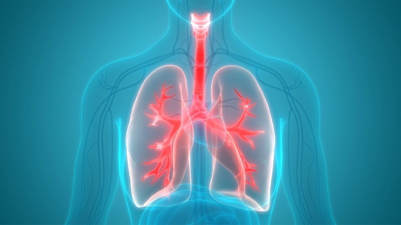 Tinh dầu bưởi giúp loại bỏ độc tố