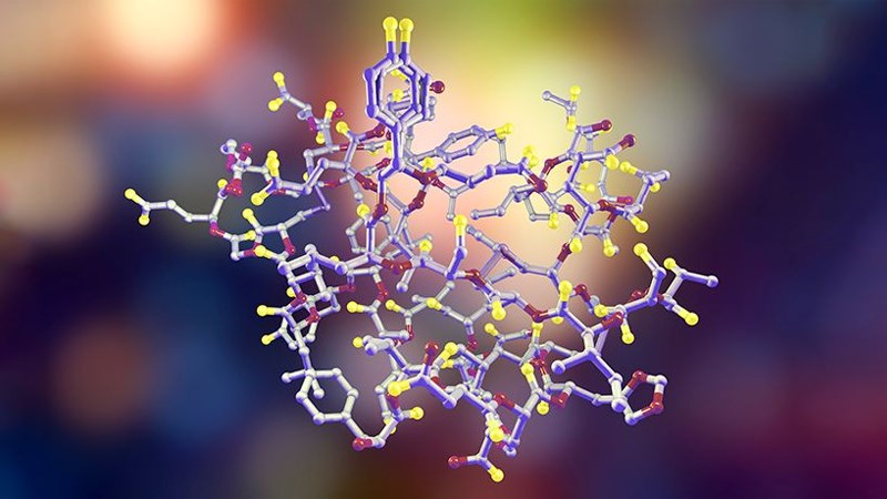 Tinh dầu bưởi giúp điều chỉnh hormone