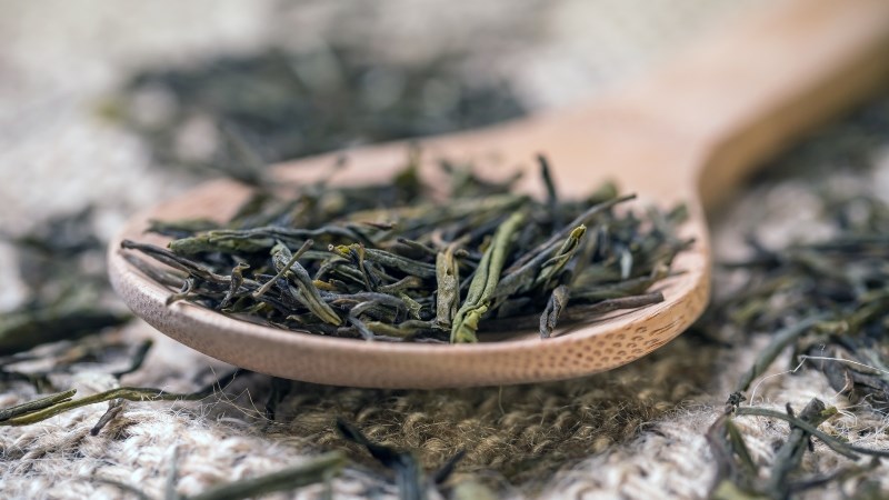 Giữ tr&agrave; trong m&ocirc;i trường kh&ocirc; r&aacute;o