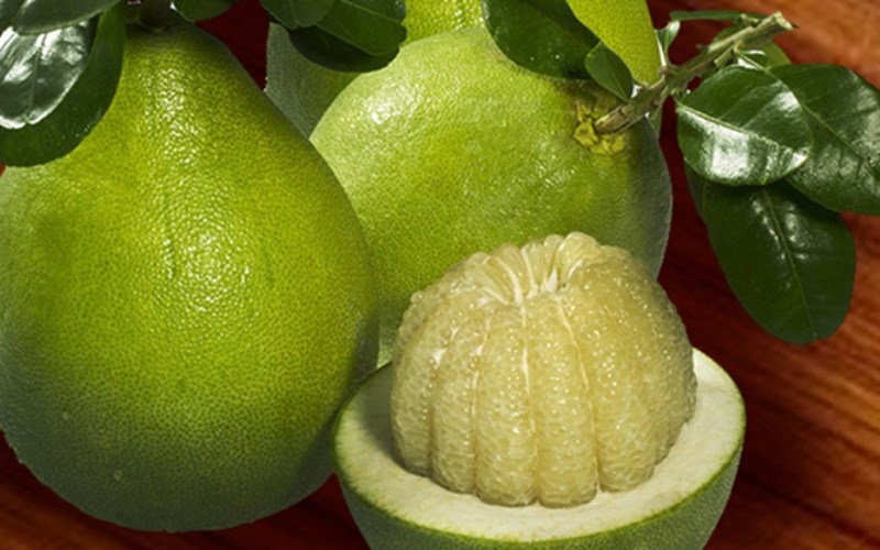 Bưởi