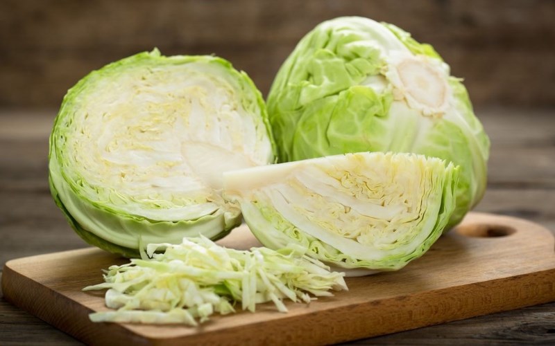 Bắp cải
