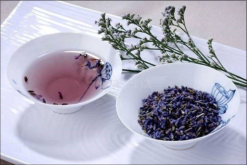 Trà oải hương