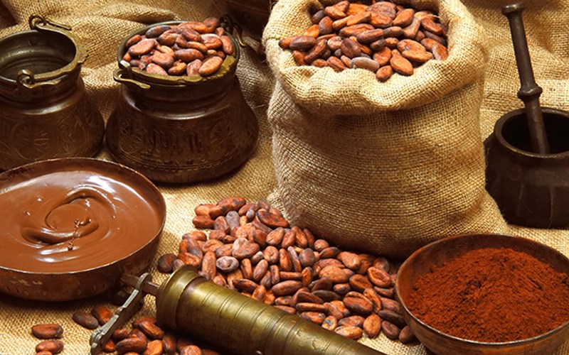Bột cacao