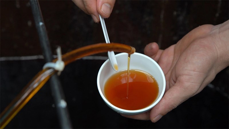 Nước mắm Cửa Lò