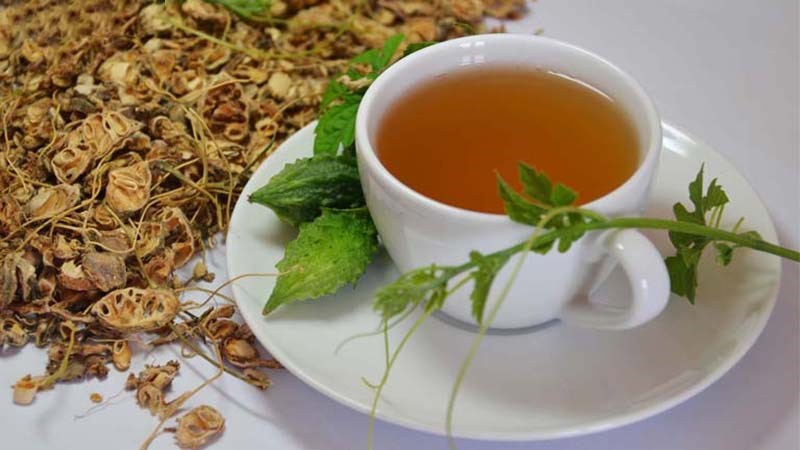 Trà khổ qua rừng