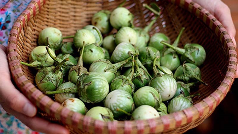 Cà đắng
