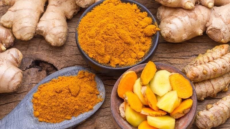 Tinh bột nghệ Nghệ An