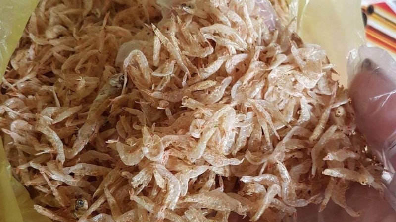 Tép khô