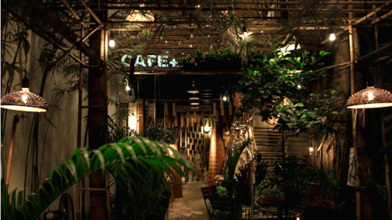 Cafe+