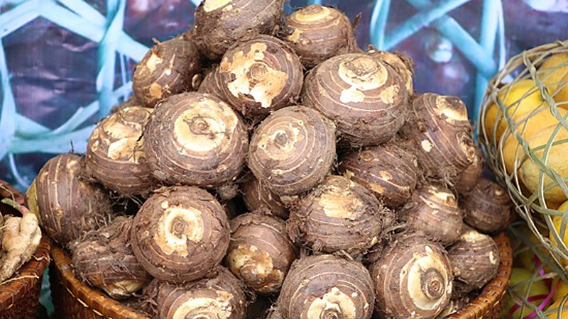 Khoai sọ Thuận Châu