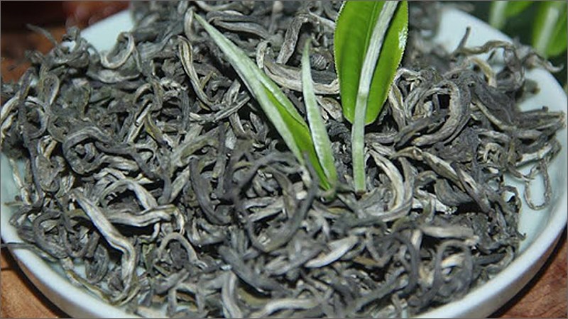 Chè Tà Xùa Bắc Yên