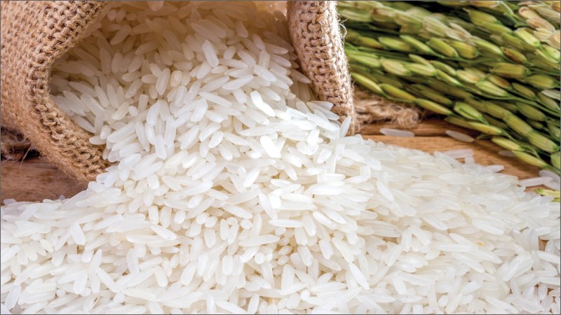 Gạo nếp Mộc Châu