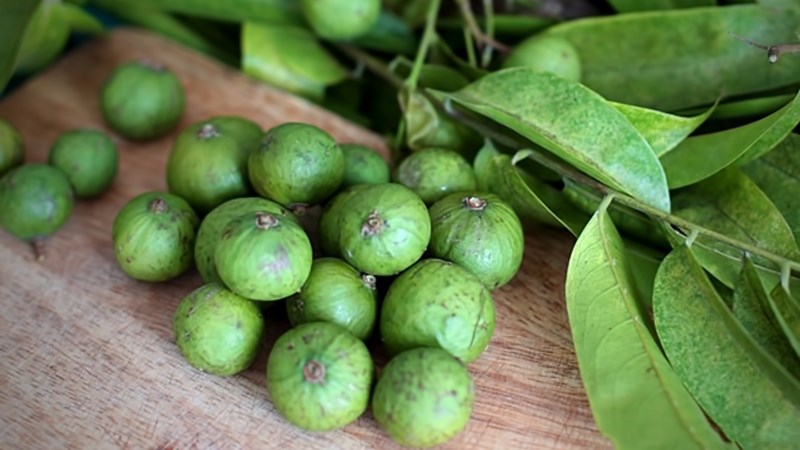 Sấu
